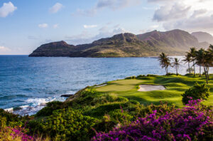 Imagine being able to enjoy beautiful views and perfect shots landing on greens in regulation every time.
